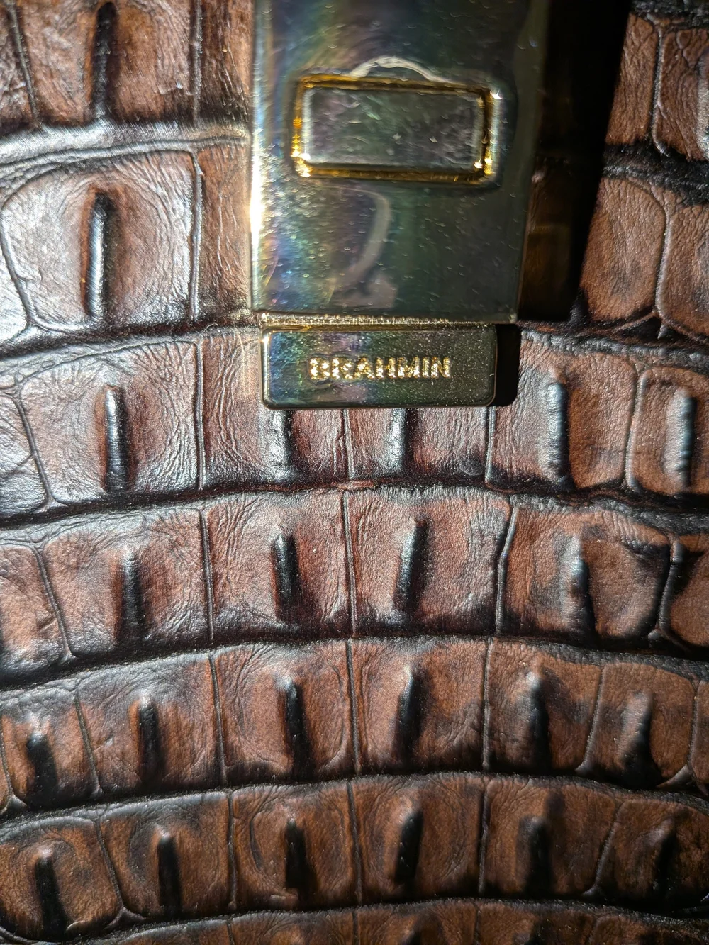 Brahmin Leather Backpack
